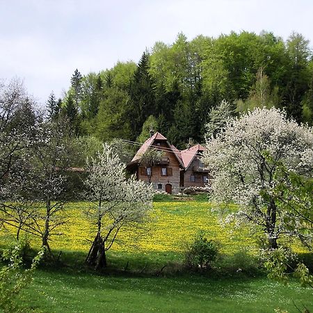Appartement Konaci Zaovljanska Jezera à Zaovine Extérieur photo