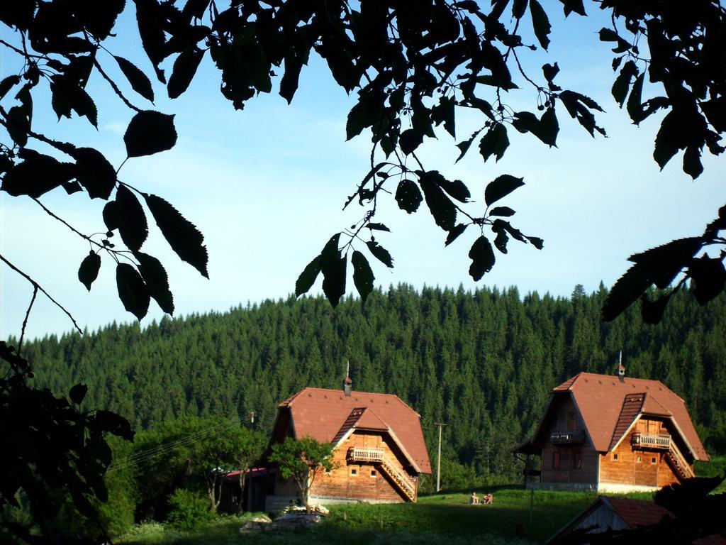 Appartement Konaci Zaovljanska Jezera à Zaovine Extérieur photo