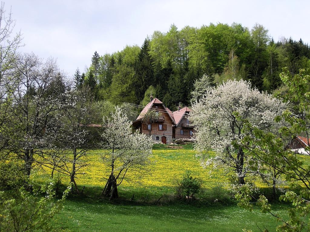 Appartement Konaci Zaovljanska Jezera à Zaovine Extérieur photo