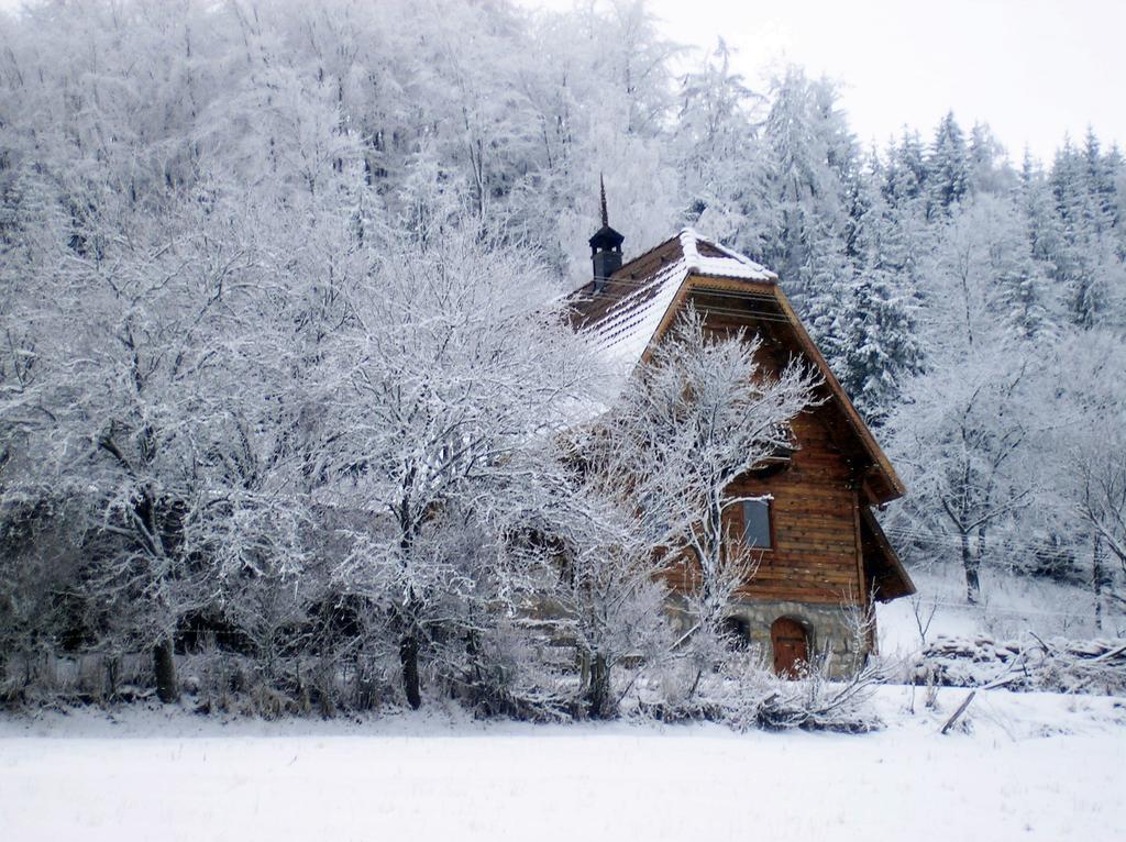 Appartement Konaci Zaovljanska Jezera à Zaovine Extérieur photo