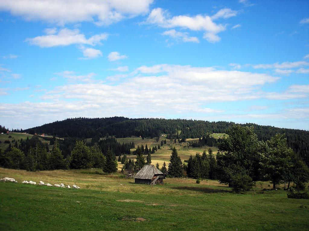 Appartement Konaci Zaovljanska Jezera à Zaovine Extérieur photo